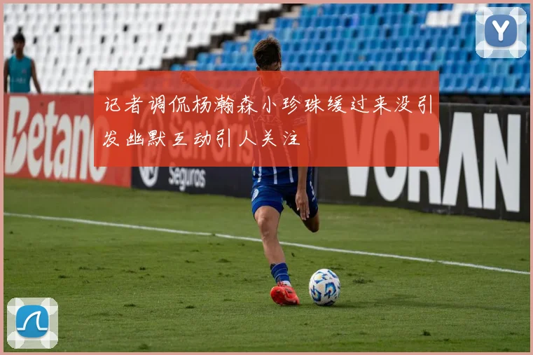 记者调侃杨瀚森小珍珠缓过来没引发幽默互动引人关注