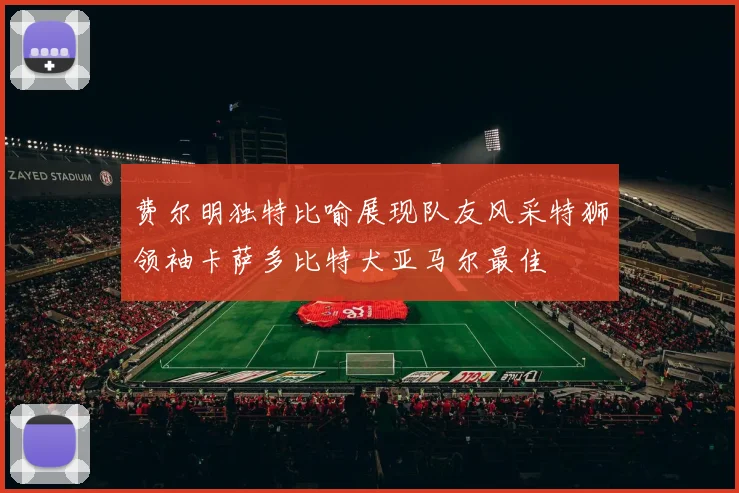 费尔明独特比喻展现队友风采特狮领袖卡萨多比特犬亚马尔最佳