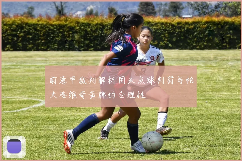 前意甲裁判解析国米点球判罚与帕夫洛维奇黄牌的合理性