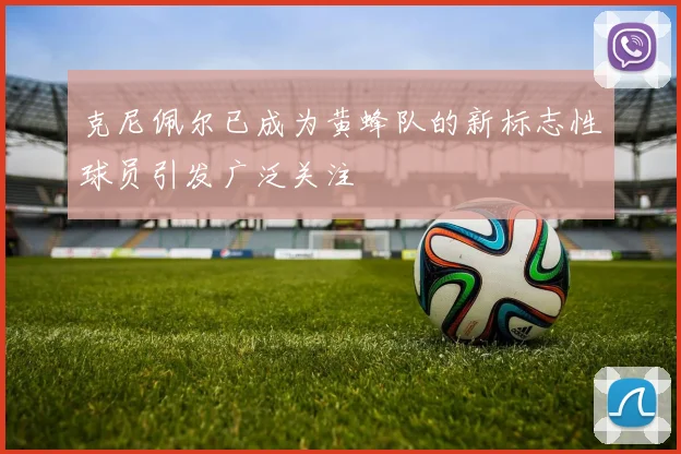 克尼佩尔已成为黄蜂队的新标志性球员引发广泛关注