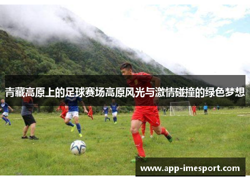 青藏高原上的足球赛场高原风光与激情碰撞的绿色梦想